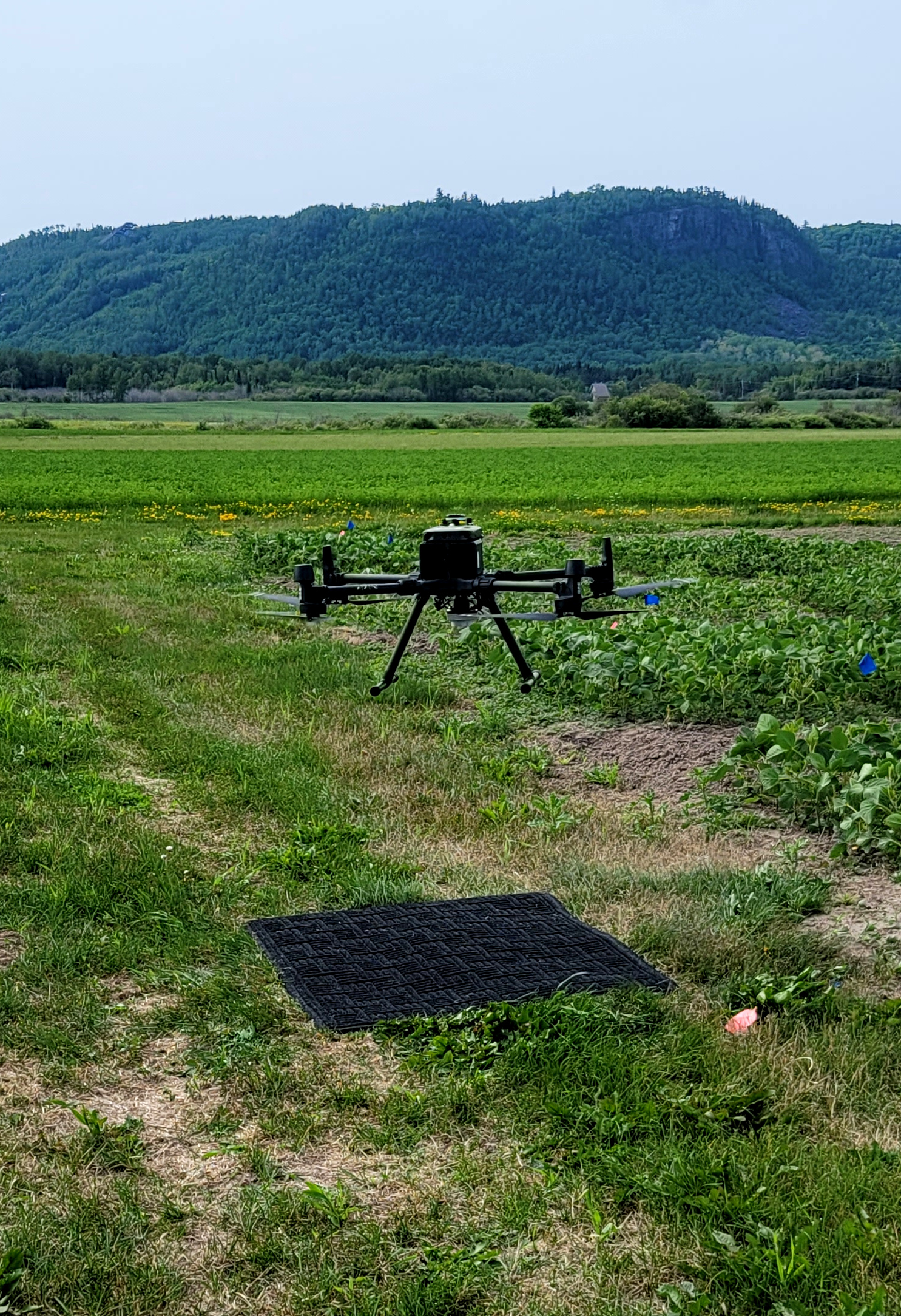 A DJI Matrice 350 drone hovering about 1.5 meters above a black carpet landing pad which is placed on green grass with agricultural crops surrounding it. In the background are the Nor'wester Mountains against a sky made hazy from wildfire smoke.