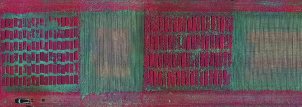 Aerial image of an agricultural field with small experimental plots displayed in false colour to include a near infra red band.